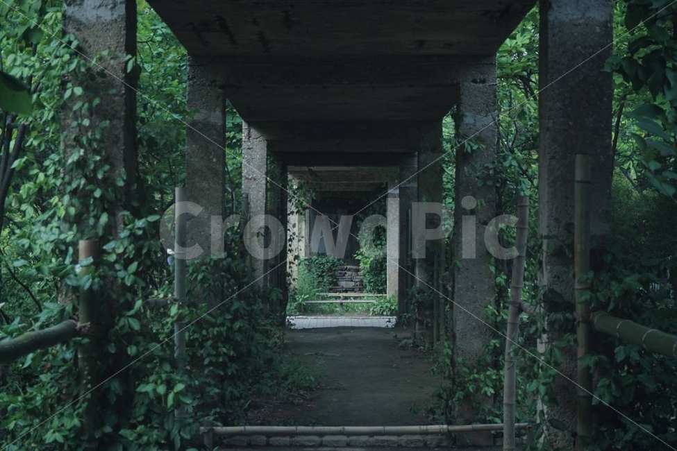소니5100a,sony5100a,덩쿨,통로,선유도,소니,sony,5100a,사진,감성,스냅,출사,풍경,photo,picture,view,snap,Korea,写真,韓国,風景,자연,natural,自然,summer,夏,여름,자연,풍경,nature,landscape,여름,계절,summer,season,건축물,건물외관,exterior,building,structure,architecture,construction,감성,sensible,feeling,porch,현관,patio,안마당,pergola,페르 골라,outdoors,옥외