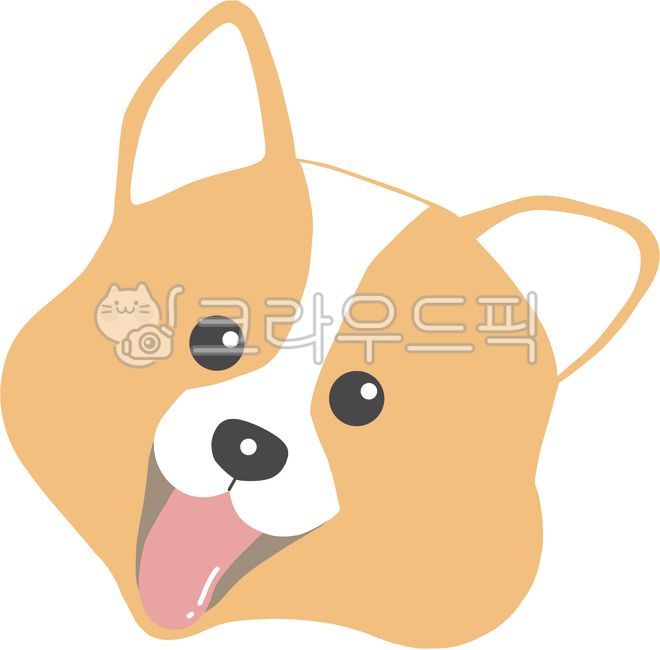 강아지,멍멍이,동물,반려견,사랑스러운강아지