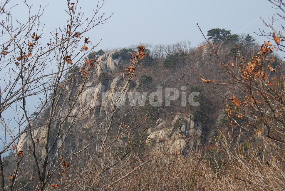운악산,눈썹바위,미륵바위,코끼리바위,포천시,등산로,능선,치유,여행,돌,산행,힐링,자연,동행,등산,계절,한국,한국명산,한국등산,풍경,나무,하늘,바람,땅,자연,풍경,nature,landscape,한국자연풍경,한국자연경관,korea nature landscape,plant,식물,tree,bird,새,animal,동물