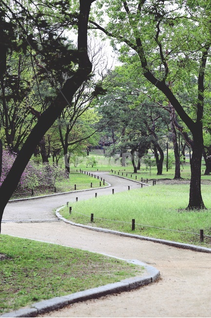산책로,녹색산책로,나무가있는산책로,지그재그,공원의산책로,녹색,그린,초목,나무,조용한,한적한산책로,자연,풍경,nature,landscape,grass,잔디,plant,식물,lawn,outdoors,옥외,park,공원,tree
