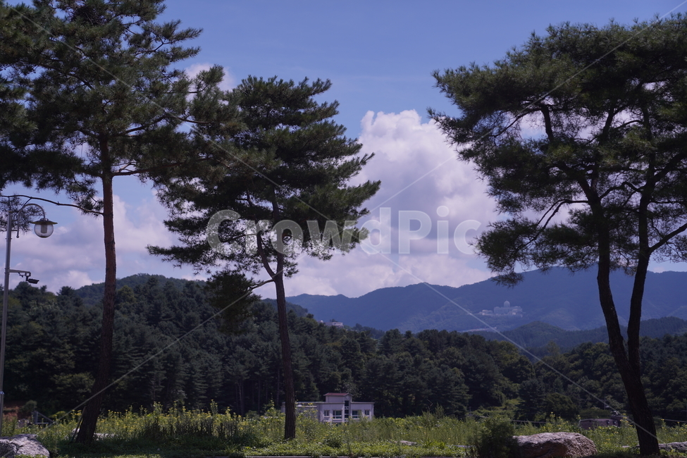 여름휴가,하늘,구름,자연,나무,호수,때약볕,여름,sky,날씨,더위,색깔,색감