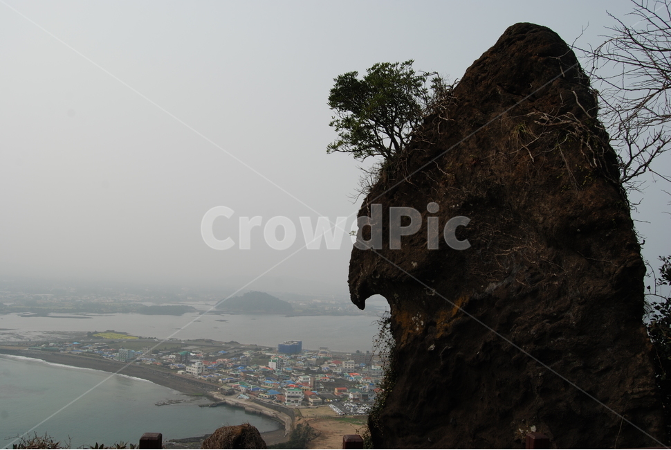 제주,성산,바다,자연,탐방로,자연,풍경,nature,landscape,한국자연풍경,한국자연경관,korea nature landscape,제주도,jeju,jeju island,경치,outdoors,옥외,scenery