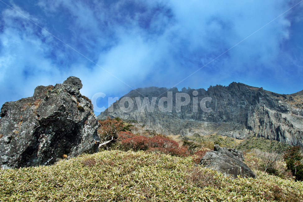 남벽,한라산,제주도,한라산국립공원,돈내코코스,조릿대,관목,푸른하늘,구름,암벽