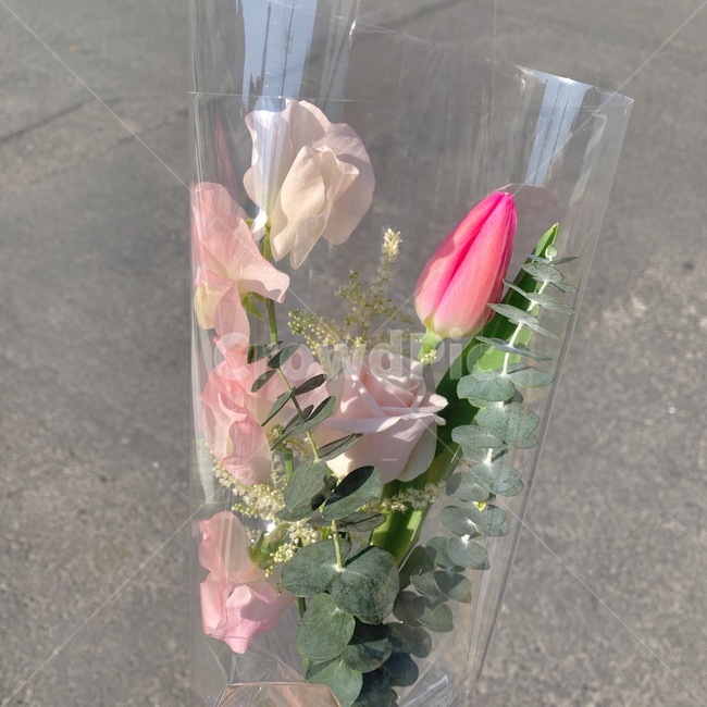 plant,식물,flower,꽃,blossom,튤립,꽃다발,tulip,유칼립투스