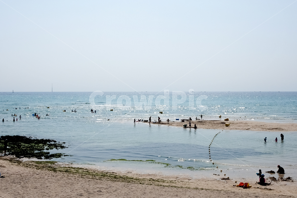 여름,바다,해수욕장,해변,물놀이,윤슬,제주,여름,계절,summer,season,자연,풍경,nature,landscape,해변,바다,beach,sea,사람들,대중,군중,other people,crowd,water,물,outdoors,옥외