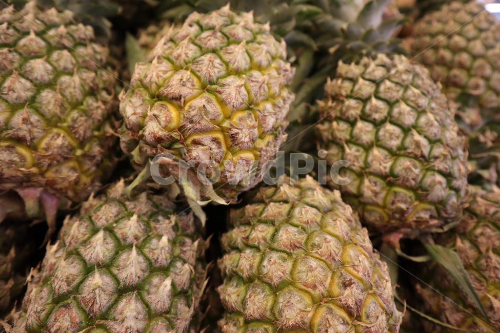 파인애플,과일,pineapple,fruit,시장,market,음식,식재료,요리,food,cook,meal,dishes,food reserves,과일,열매,fruit