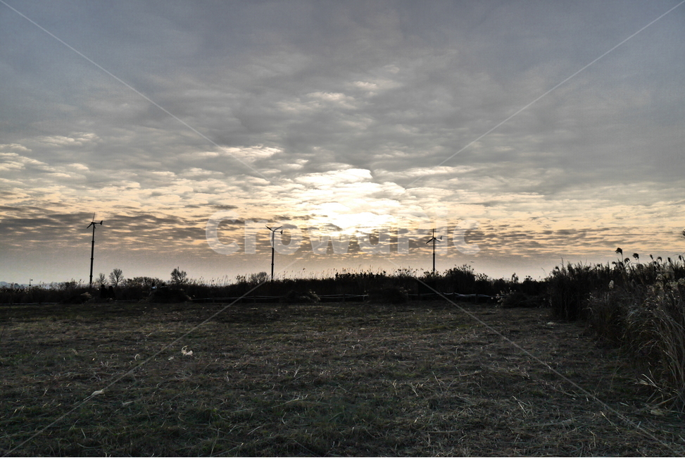 들판,벌판,가을,갈대,노을,하늘,전봇대,자연,풍경,nature,landscape,cable,케이블,electric transmission tower,송전탑,power lines,전력선