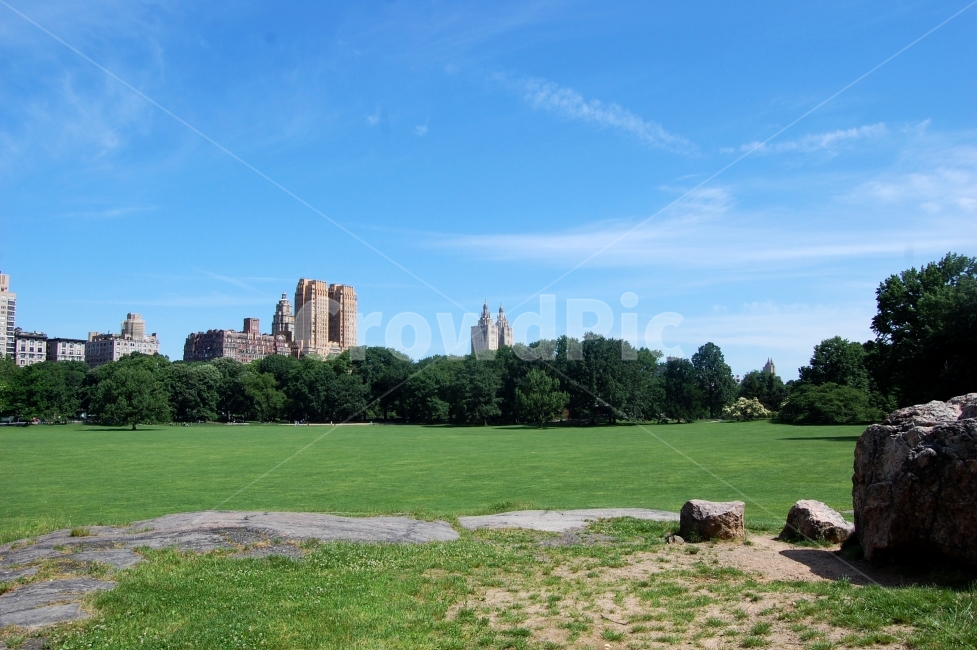 공원,나무,도시,건물,빌딩,park,city,도심,tree,잔디,building,buildings,structure,architecture,푸른,하늘,sky,sunny,맑은,날씨,weather,여행,trip,travel,travelling,미국,뉴욕,America,NewYork,풍경,배경,배경사진,풍경사진,평화로운,분위기,차분한,차분함,평화로움,scene,atmosphere,calm,peaceful,tranquil,still,background,구름,cloud,배경화면,shiny,화창한,quiet,active,감성사진,ambience,도시,풍경,city,landscape,해외,외국,세계,foreign,oversea,world,세계도시풍경,해외도시풍경,외국도시풍경,world cityscape,grass,plant,식물,field,들