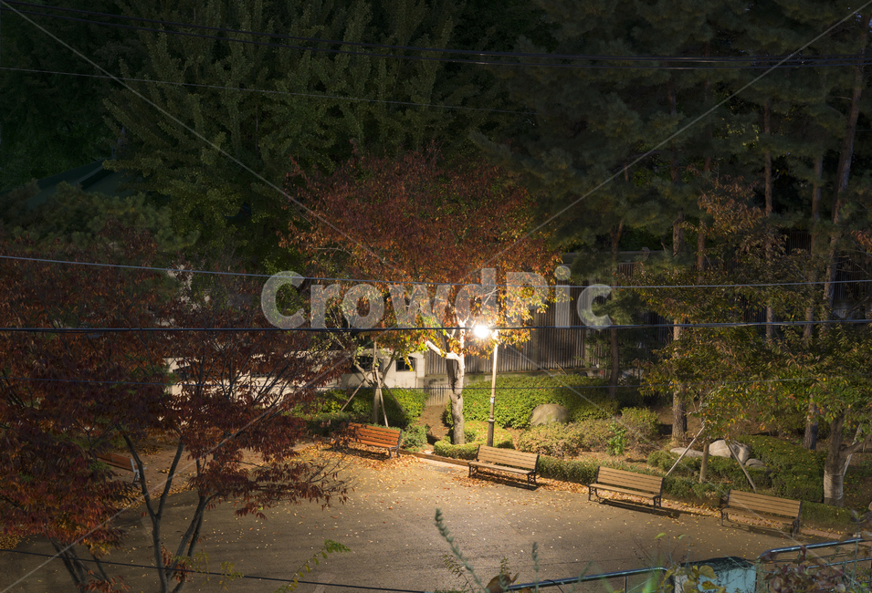 공원,가을공원,가을,야경,밤,가을,계절,fall,autumn,season,야경,밤,풍경,nightscape,night,landscape