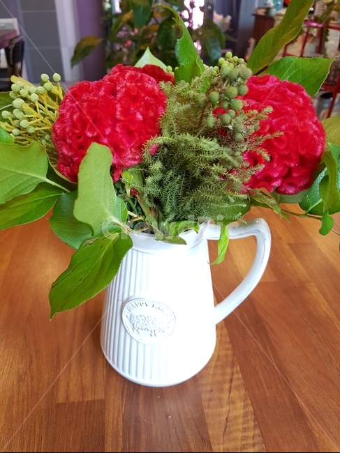 생화,빨간꽃,화분,예쁜꽃,예쁜화분,식물,자연,plants,nature,꽃,flower