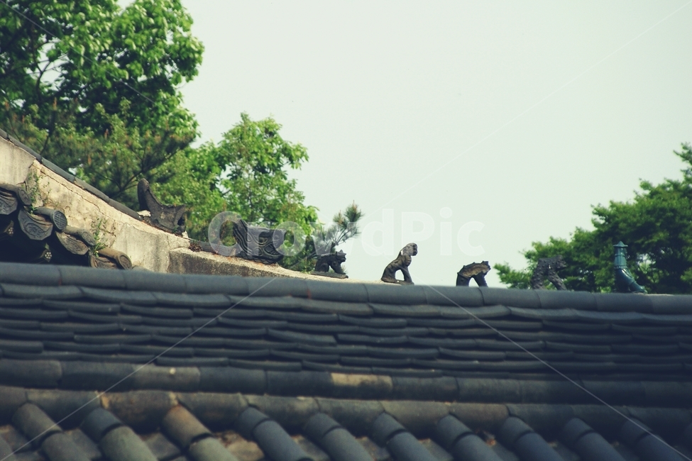 지붕,창경궁,한국,대한민국,korea,성,왕,전통,한국전통,한국문화,korean traditional,korean culture,건축물,건물외관,exterior,building,structure,architecture,construction
