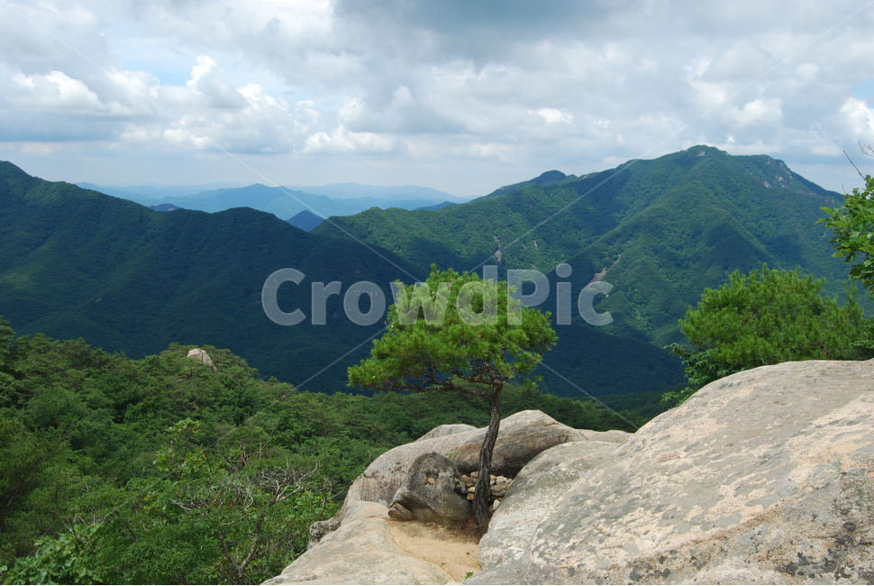 칠보산,국립공원,탐방로,휴양림,한국명산,쉼,자연,들꽃,물,자연,풍경,nature,landscape,outdoors,옥외,mountain,산