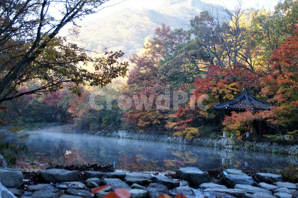 가을,단풍,자연,나무,식물,저수지,그림자,정자,산속,autumn,season,trees,nature,풍경,자연풍경,감성,emotion,안개,가을,계절,fall,autumn,season,tree,plant