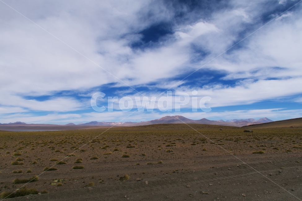 볼리비아,칠레,하늘,구름,산,오프로드,흙길,길,흙,사막,아무도없다,road,dirt,desert,landscape,sandy,dry,track,nature,dusty,blue,adventure,route,sand,sky,nobody,path,dust,scene,scenery,land,beautiful,mountain,offroad,natural,skyline,horizon,bolivia,yellow,roadside,도로,자연,풍경,nature,landscape,해외,외국,세계,foreign,oversea,world,세계자연풍경,해외자연풍경,외국자연풍경,world nature landscape,outdoors,옥외