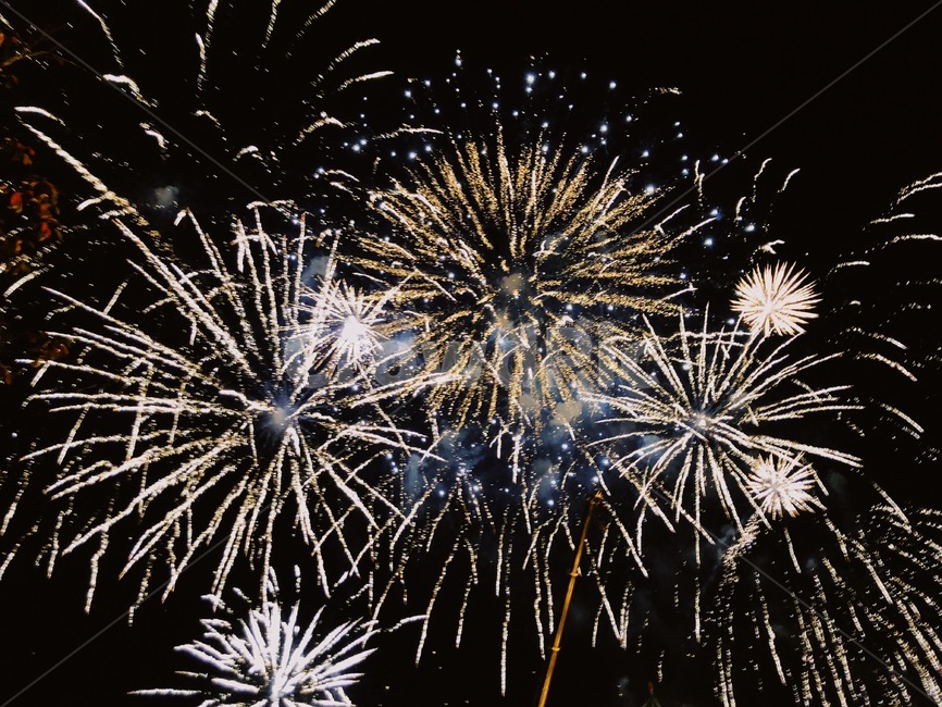 불꽃놀이,불꽃축제,여름,폭죽,불꽃,축제