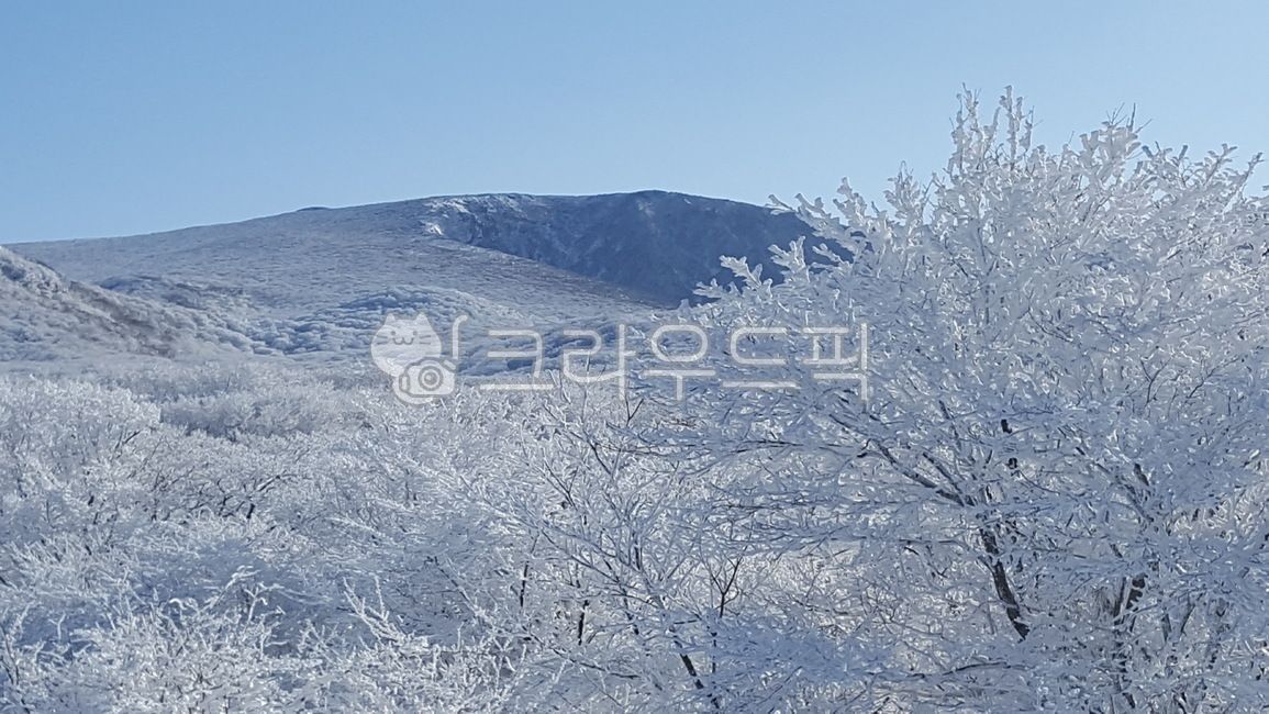 한라산,산,눈덮인산,겨울산,겨울나무