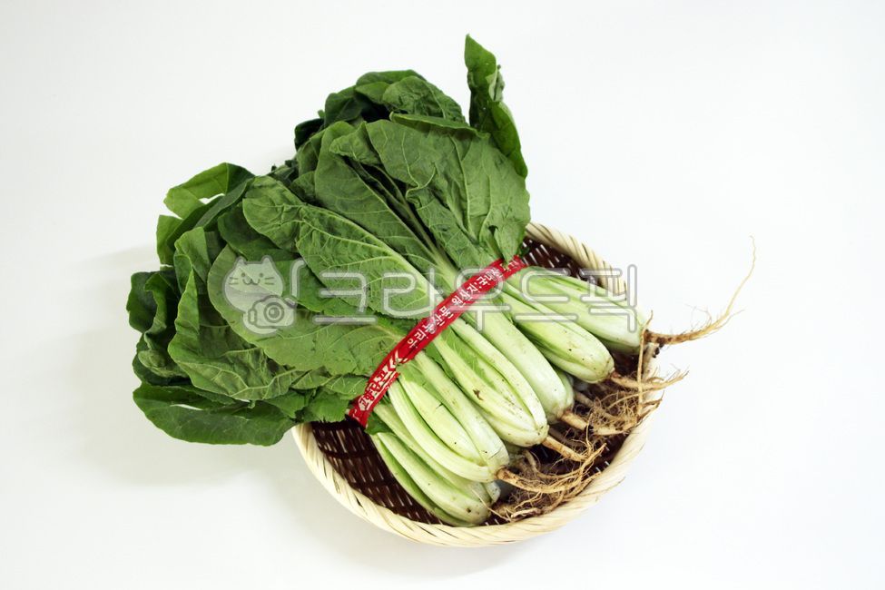 Idiot,Eolgali cabbage,napa cabbage,step,Handan