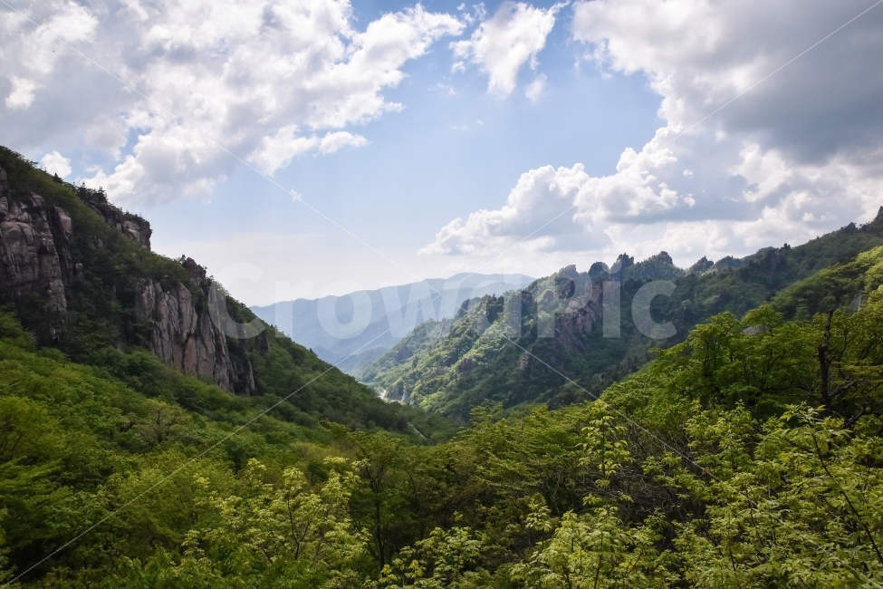 한계령,강원도,삼림,산,수목,나무,숲,경치,경관,자연,풍경,구름,하늘,맑음,맑은날씨,한계령휴게소,절벽,암반,바위,여름,봄,생생한,녹색,연두색,그린,그린벨트,푸른하늘,푸름,식목일,자연,풍경,nature,landscape,한국자연풍경,한국자연경관,korea nature landscape,mountain,outdoors,옥외