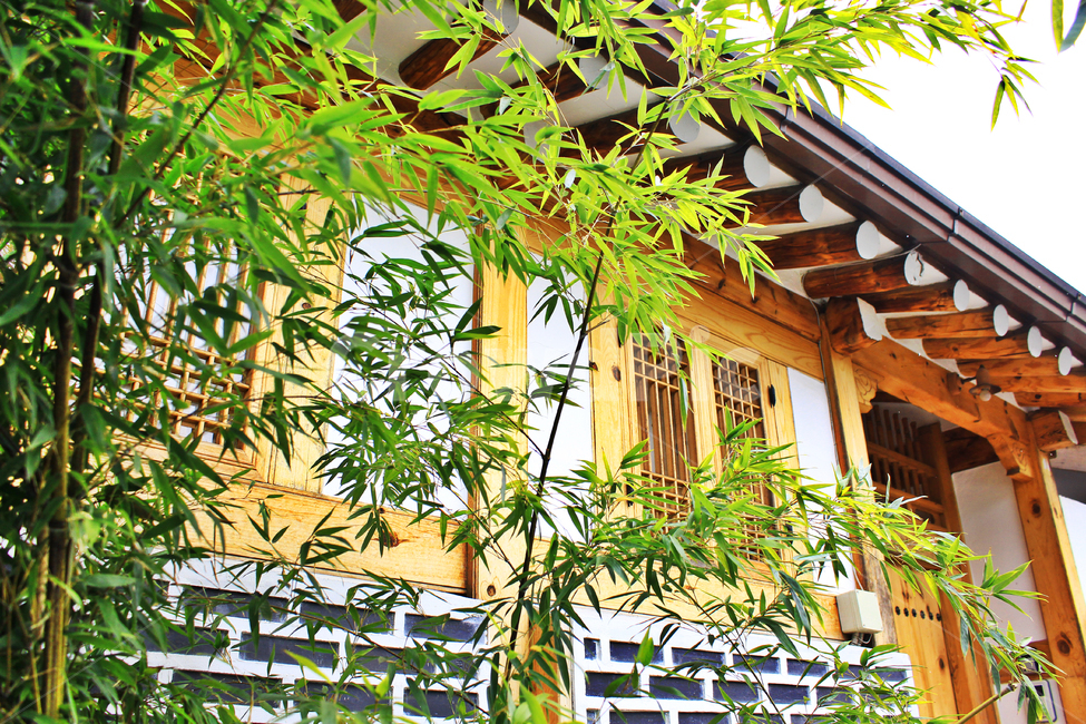 한옥,대나무,건물,기와,hanok,koreanstylehouse,기둥,북촌,한국전통,한국문화,korean traditional,korean culture,건축물,건물외관,exterior,building,structure,architecture,construction