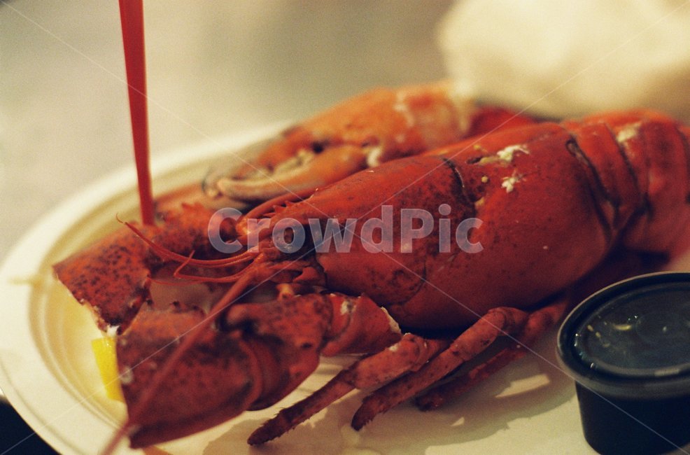 보케,육각형,빛,필름,필름사진,음식,식재료,요리,food,cook,meal,dishes,food reserves,수산물,해산물,fishery products,seafood,양식,서양음식,서양요리,western food,western dishes,western meal,western cook