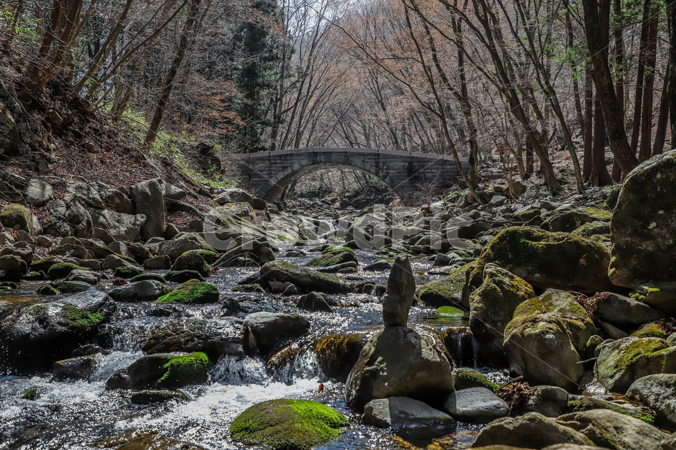 사찰,계곡,게곡풍경,다리,다리풍경