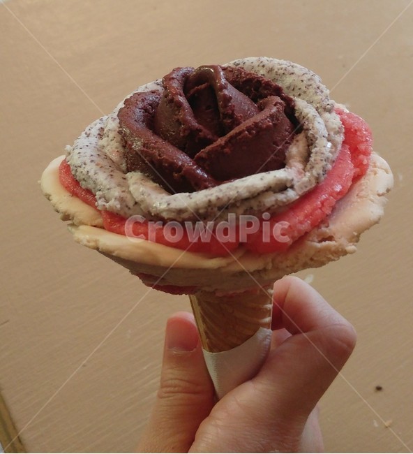 젤라또,아이스크림,장미꽃젤라또,icecream,gelato,디저트,dessert