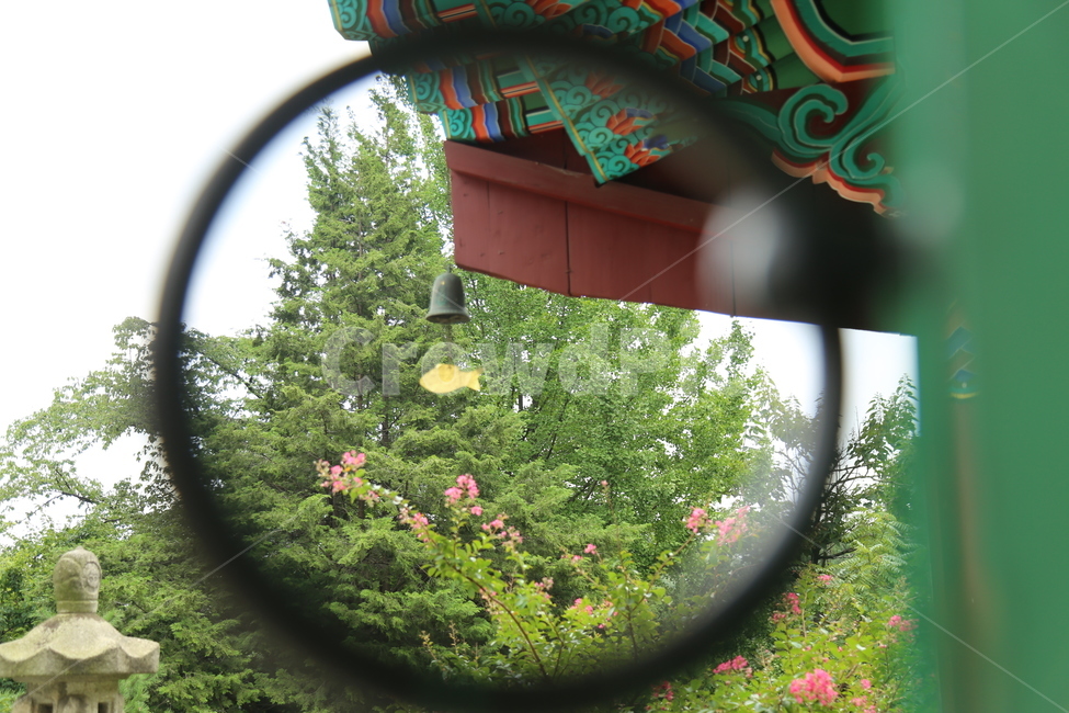 불교,절,사찰,자연,temple,circle,원