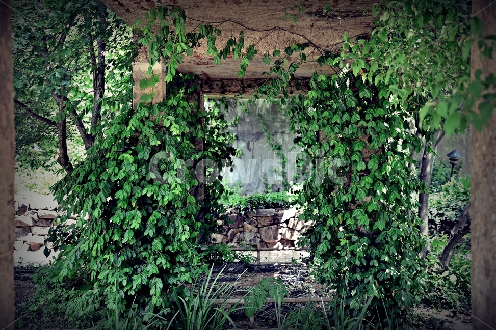 선유도,공원,감성사진,건물,식물,나무,풍경,식물,자연,plants,nature,건축물,건물외관,exterior,building,structure,architecture,construction