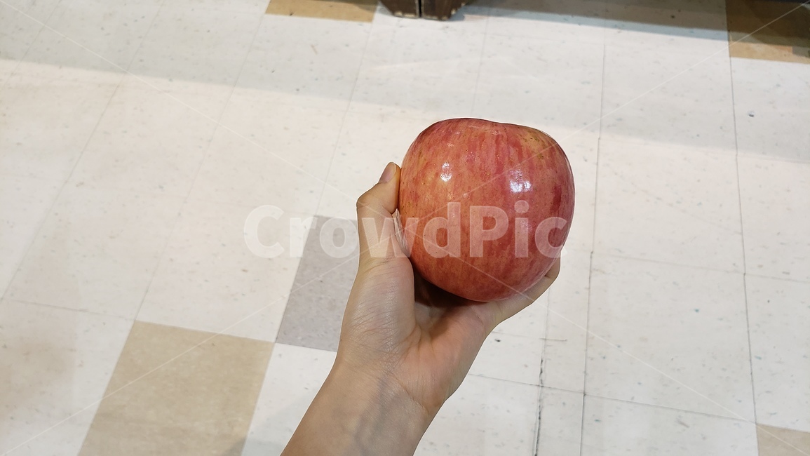 사과,과일,손,빨간색,사과한개,한개