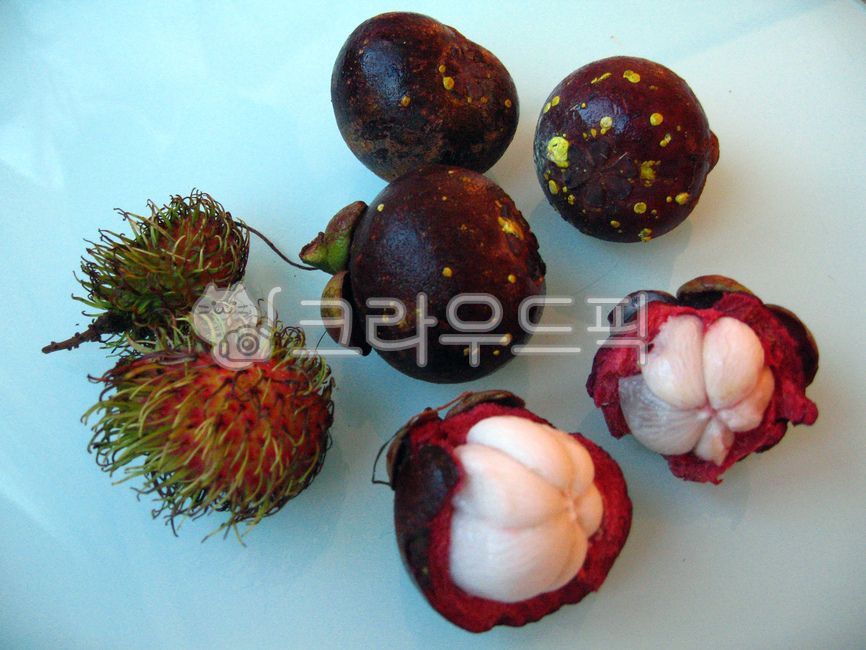 mangosteen,tropicalfruit,Mangosteen,plant,Rambutan,tropical fruit,rambutan