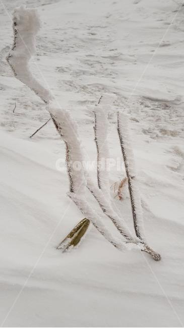 눈꽃,눈,겨울,겨울나무,자연,풍경,snow,겨울,계절,winter,season