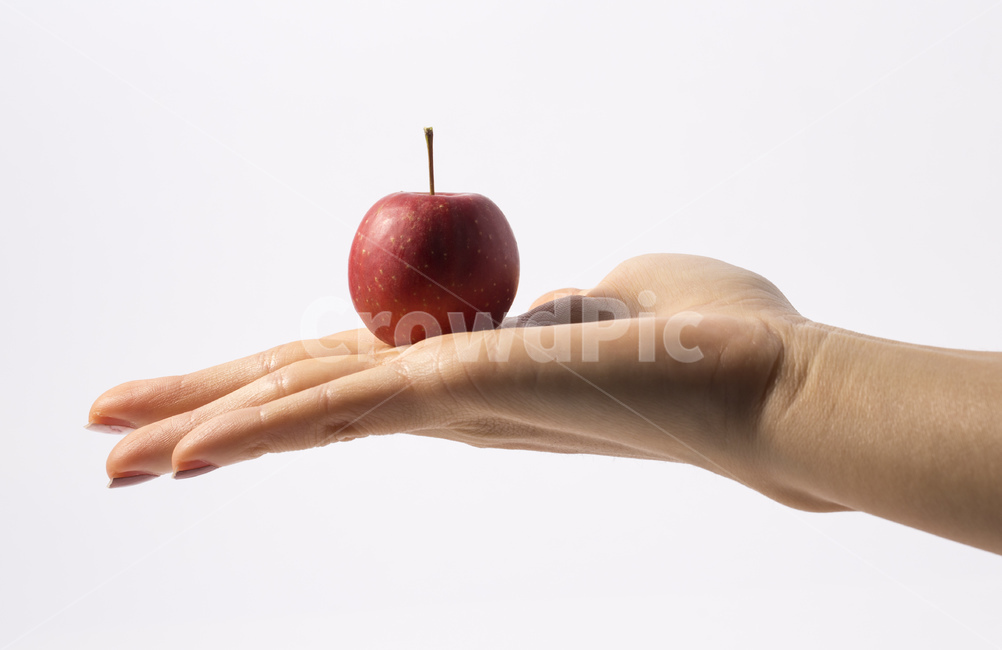 손,손가락,사과,과일,열매,꽃사과,빨간색,비타민,미니사과,사람,인물,인간,human,person,신체일부,몸,body