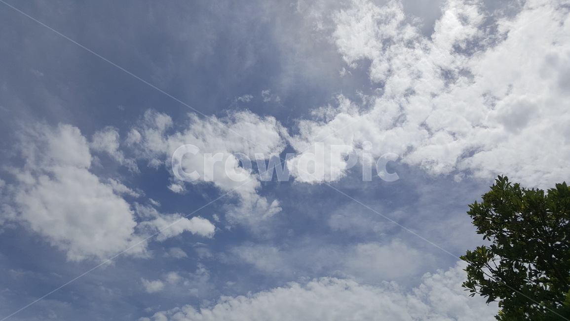 하늘,구름,나무,자연,나들이,자연,풍경,nature,landscape,outdoors,옥외,azure sky,푸른 하늘,sky