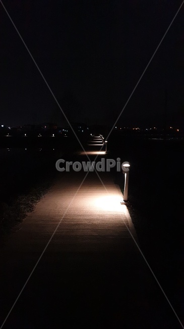 어둠,빛,산책,밤,조명,야경,밤,풍경,nightscape,night,landscape,flare,플레어,light