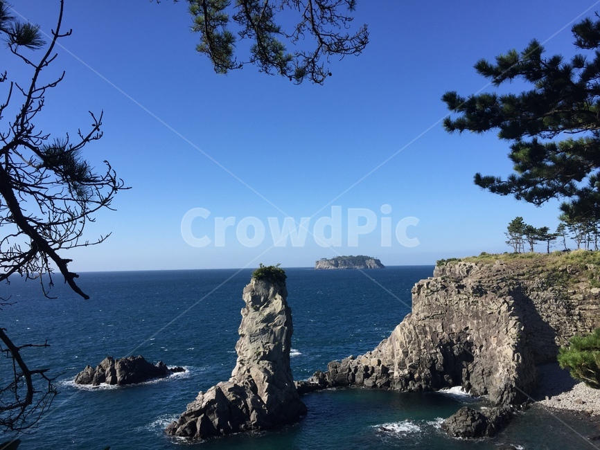 제주도,외돌개,외돌개전경,바위섬,jejuisland,rock,pinetree,풍경,바다,소나무,푸른바다,sea,bluesky,blue,jeju,자연,풍경,nature,landscape,land,땅,outdoors,옥외,ocean,대양,water,물,shoreline,해안선,coast,연안