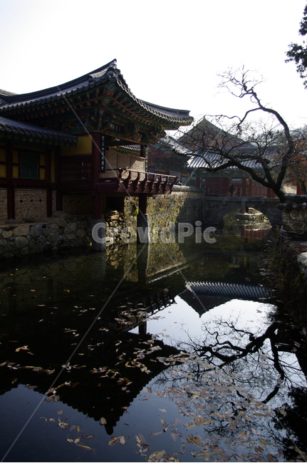 송광사,사찰,반영,전통건축,나무,한국전통,한국문화,korean traditional,korean culture,건축물,건물외관,exterior,building,structure,architecture,construction