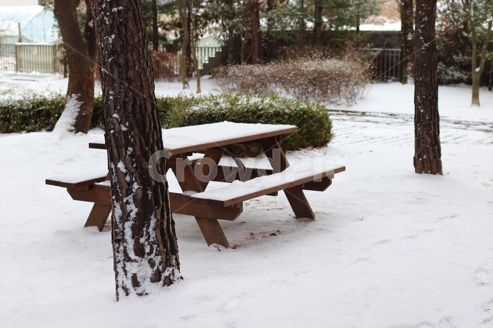 벤치,나무,눈,겨울,풀,눈밭,풍경,감성,자연,경관,옥외,bench,plant,tree,korea,snow,winter,가구