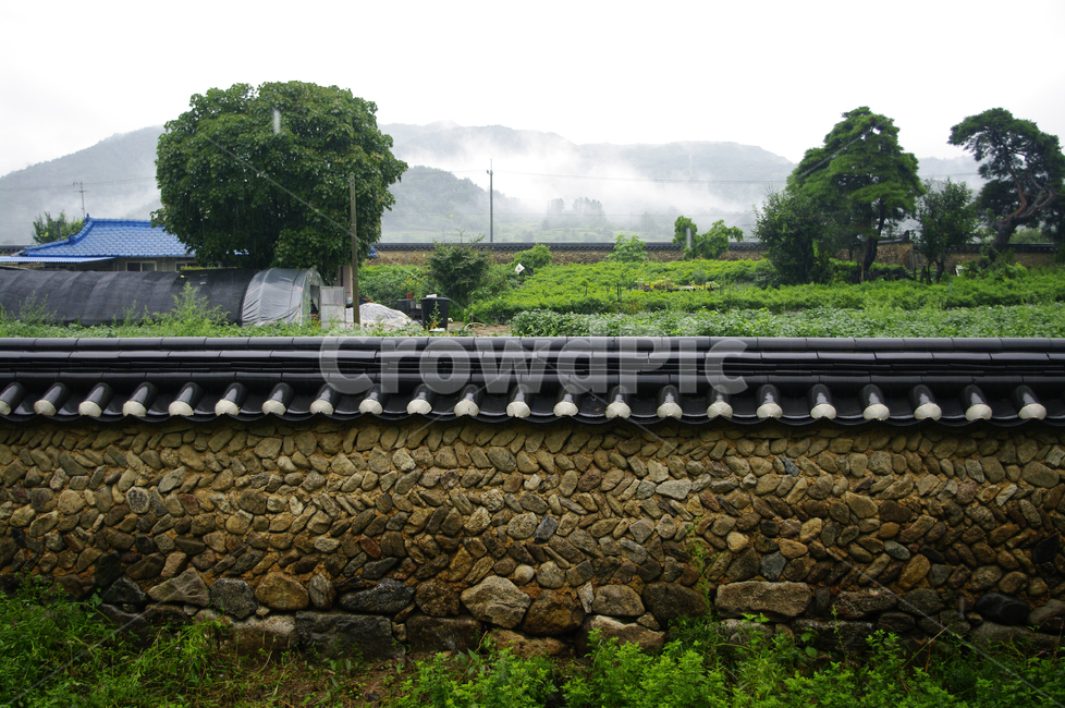 전통가옥,기와지붕,건축,traditional,담장,나무,풍경,시골,마을,풍경,landscape,country,rural,town,한국전통,한국문화,korean traditional,korean culture,건축물,건물외관,exterior,building,structure,architecture,construction