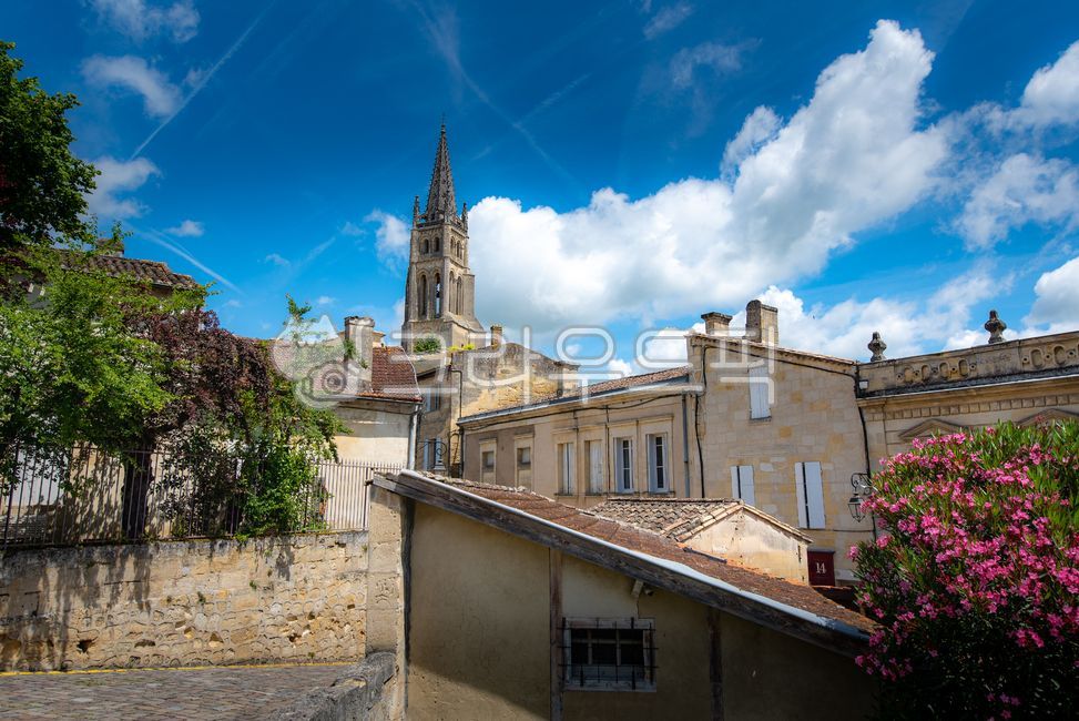 bordeaux,worldheritage,Bordeaux,villige,saintemilion,Saint Emilion,building,landscope,wine village,south of france,Town,steeple,spire,sight,france,Emotion,europe,winevillage,tower,architecture,nature,world cultural heritage,saintmilion,feeling