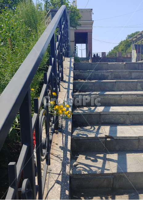 계단,난간,꽃,감성,색감,색상,나른한,따사로운,힐링,그림자
