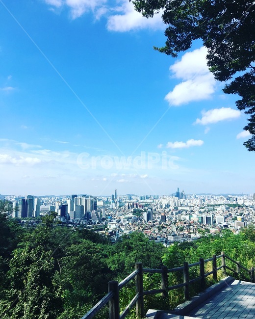 sky,bluesky,tree,scenery,cloud,seoul,서울,하늘,파란하늘