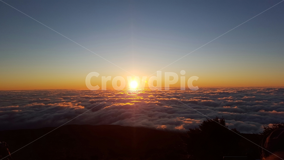 light,sunlight,빛,자연,nature,sunrise,해돋이,겨울,한라산,해,구름,하늘,winter,mountine,sun,cloud,sky,햇빛,새해,newyear,1월1일,자연,풍경,nature,landscape