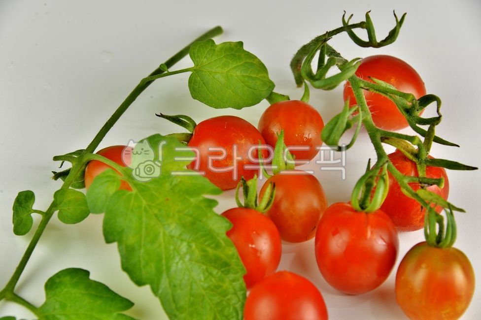 Nukki,Cherry tomato,Fruit,fruit,natural product,tomato,vegetable,food,red,fresh fruit,dessert,healthy food,plant,Food Ingredients,ingredients,diet,organic