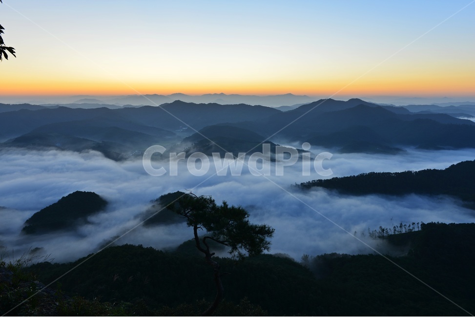 nature,자연,outdoors,임실,국사봉,운해,국사봉일출,아침,여명,해돋이,경치,경관,풍경,옥외,mountain,산,mountainrange,산맥,dawn,새벽,sky,하늘,redsky,붉은하늘,light,빛,flare,플레어,소나무,자연,풍경,nature,landscape,한국자연풍경,한국자연경관,korea nature landscape