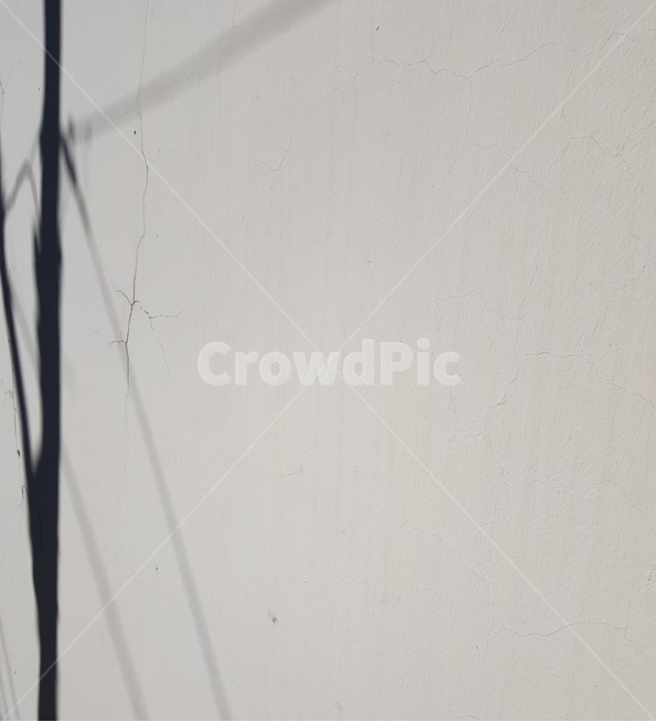 벽,그림자,명암,나뭇가지,실루엣,silhouette,shodow,contrast,wall,bw,실루엣,그림자,silhouette,shadow