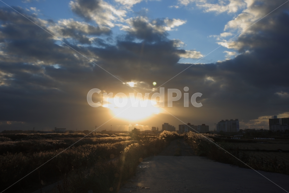 석양,일몰,하늘,풍경,sunset,sky,자연,풍경,nature,landscape,한국자연풍경,한국자연경관,korea nature landscape,flare,플레어,light,빛,sunlight,햇빛