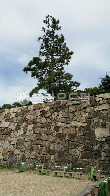 성벽,나무,나고야,조경,공원