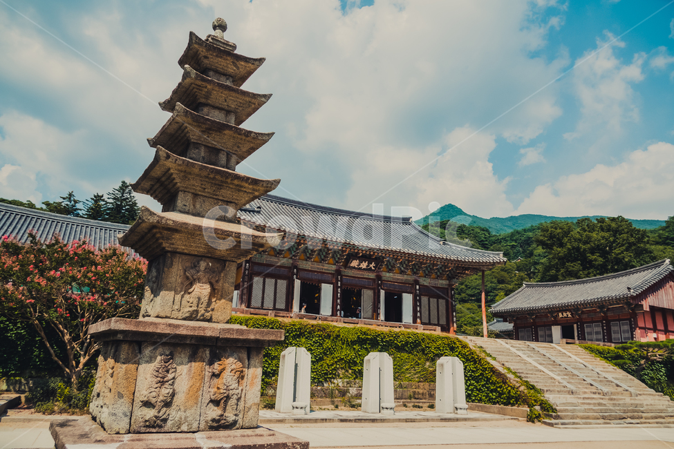 탑,pagoda,shrine,신사,신전,temple,architecture,건축물,건물,절,사찰,하늘,구름,sky,cloud,나무,tree,풍경,절풍경,기와,지붕,기와지붕