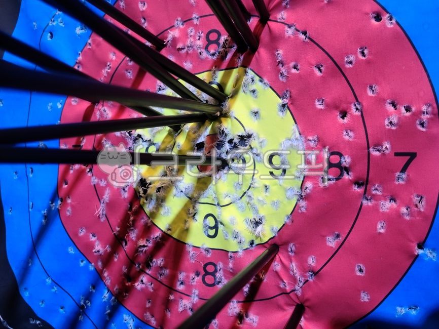 과녁, target, 양궁, archery, 활, 사진,이미지,일러스트,캘리그라피 - 연휘가람작가