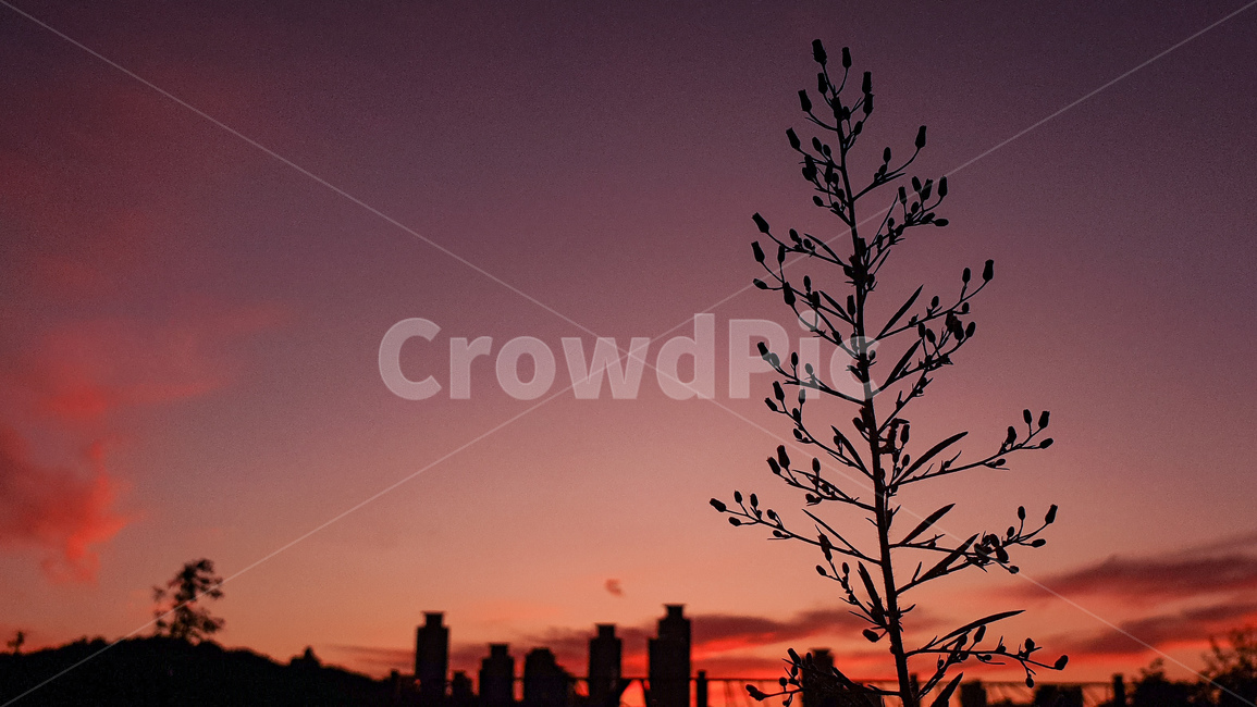 하늘,일몰,노을,황혼,sky,redsky,sunset,dusk,nature,자연